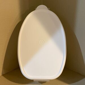 Tupperware Flavor Savor Container